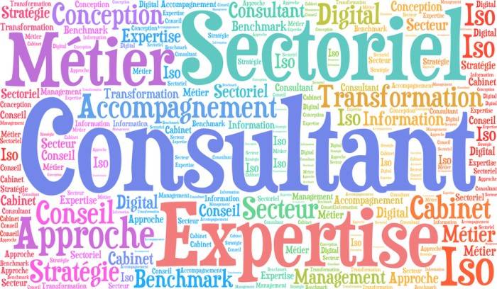 Consultant conseil