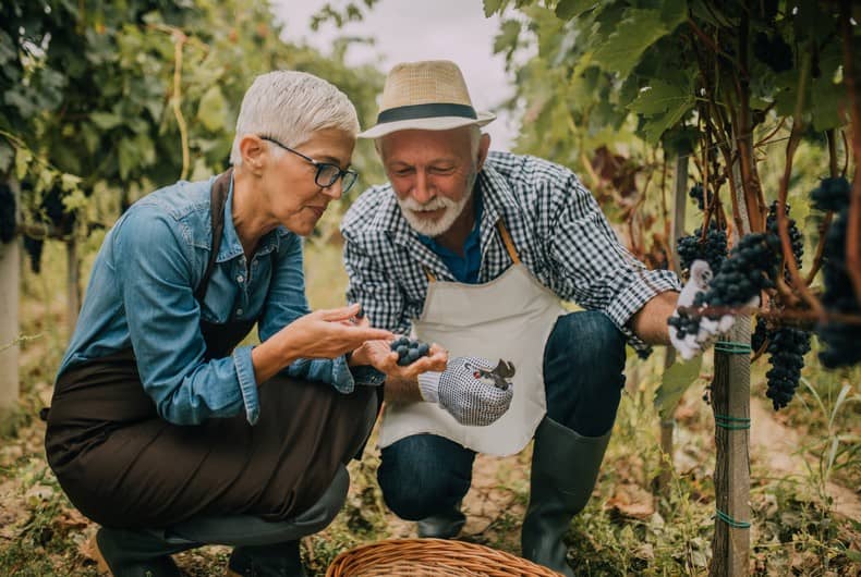 Possible sous-indexation des pensions des cotisants de l’Agirc-Arrco au 1er novembre