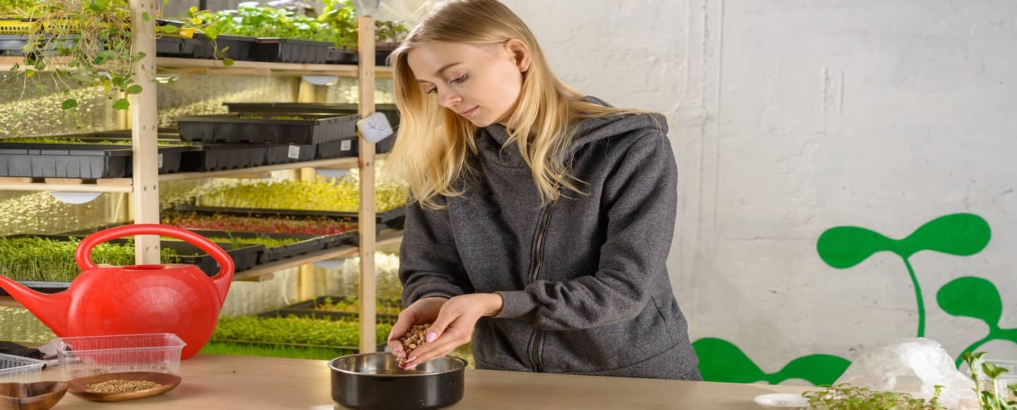 Prévoyance pour micro entrepreneur : se protéger et optimiser son statut